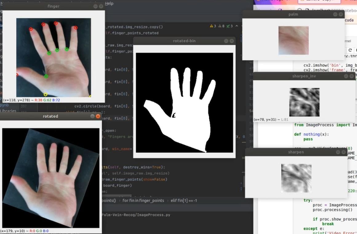 Palm Recognition 1