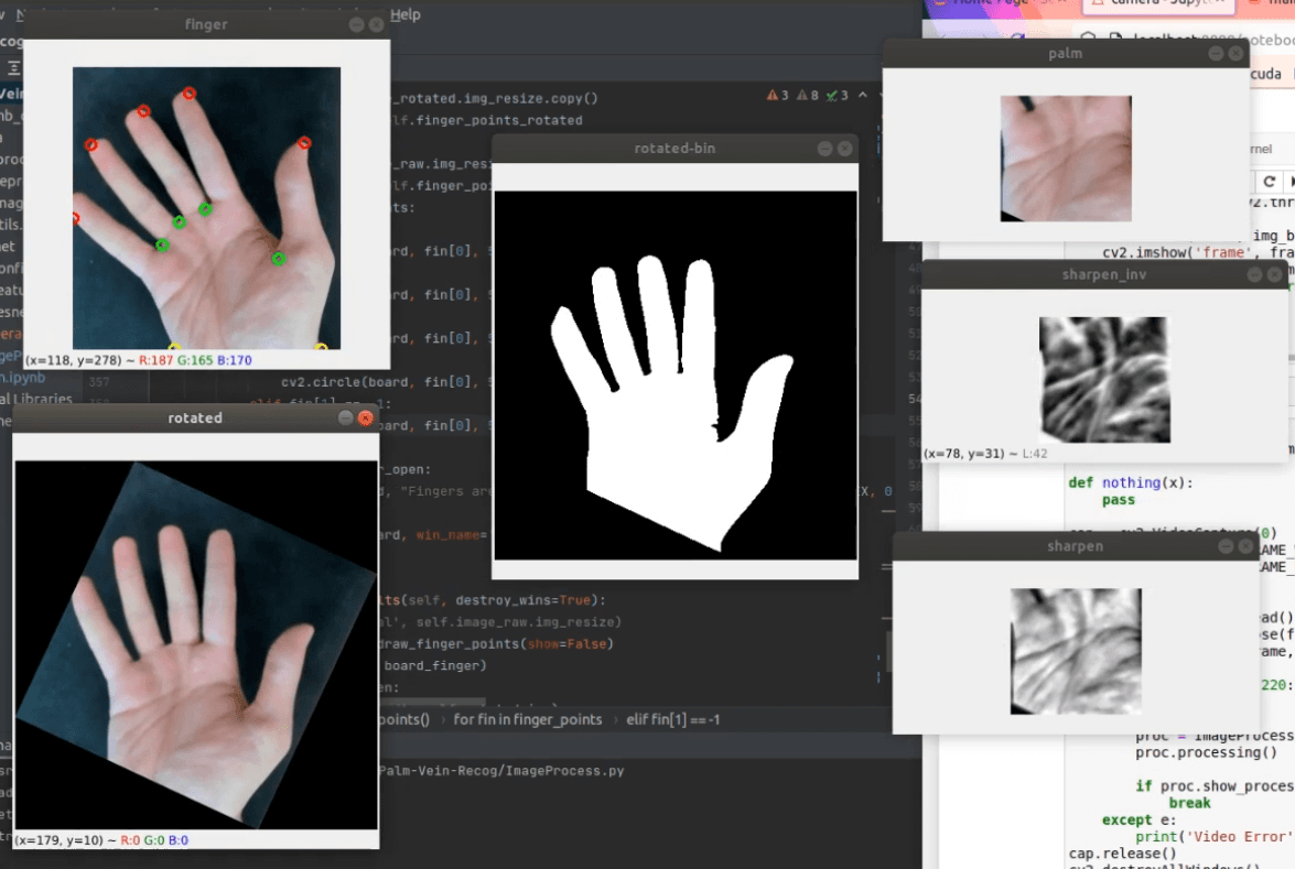Palm Recognition 2